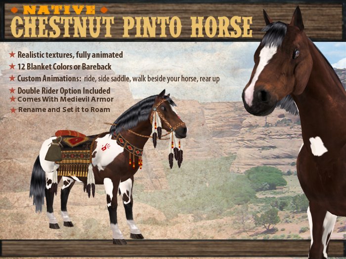 Second Life Marketplace Native Chestnut Pinto Horse